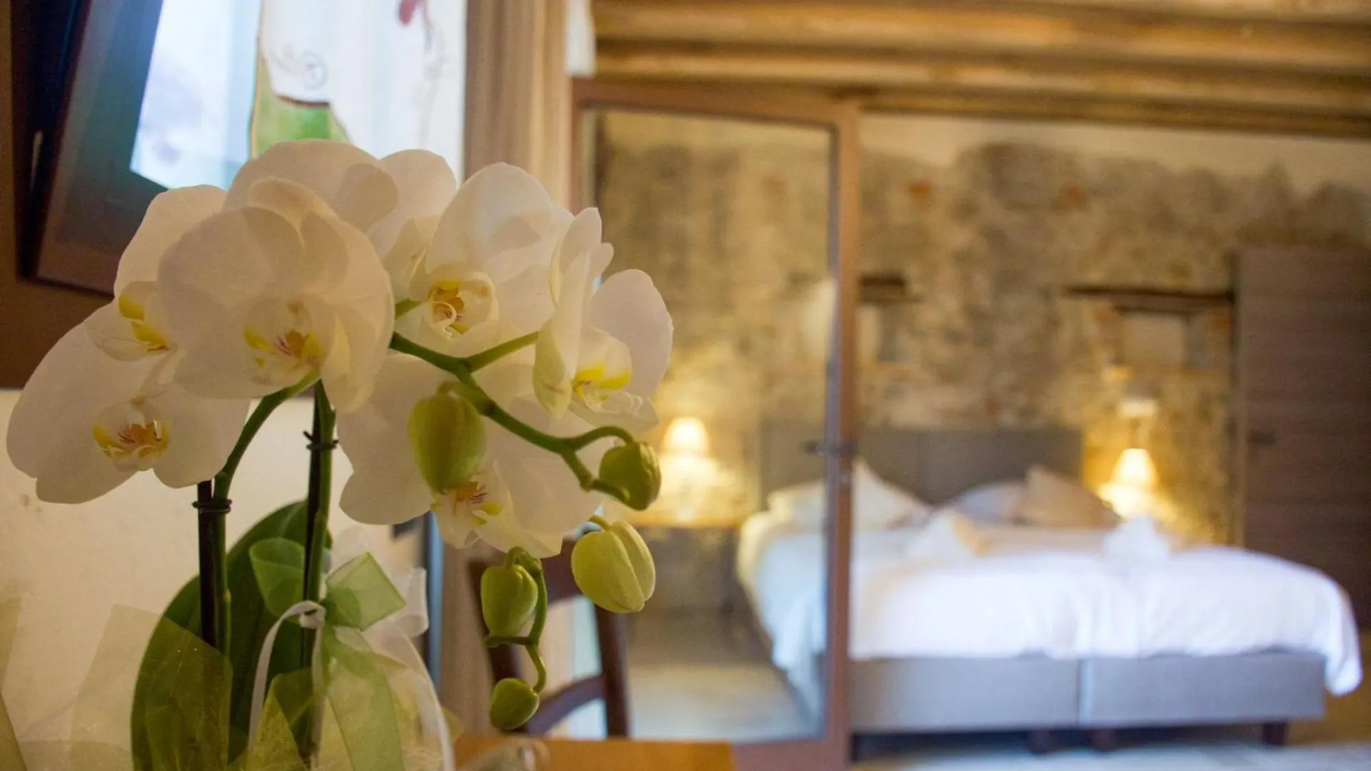 Agriturismo La Pina Tarzo Bauernhof